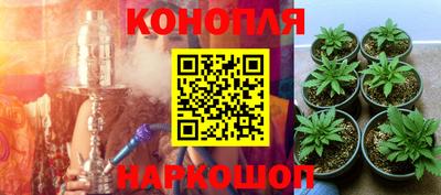 mdma Кингисепп