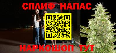 сатива Конаково