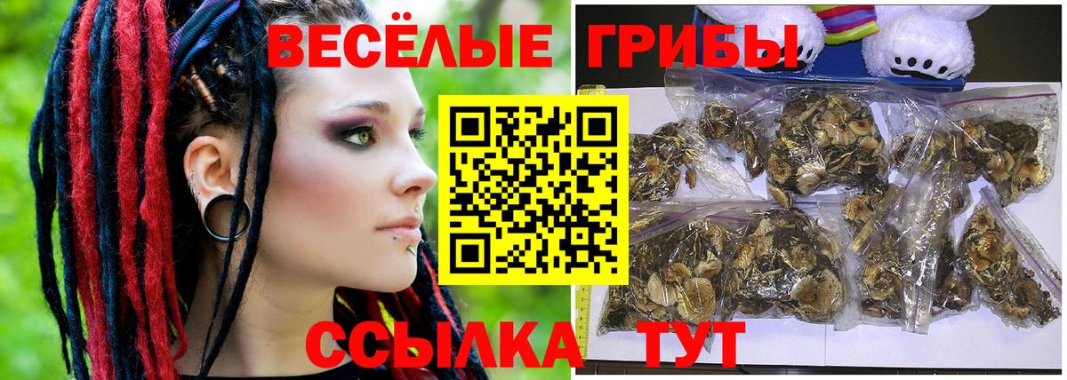Псилоцибиновые грибы мицелий Королёв