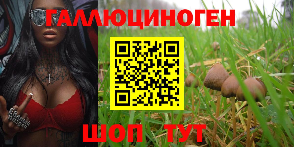 Галлюциногенные грибы ЛСД  Галлюциногенные грибы мухоморы  Вход с VPN  Королёв 